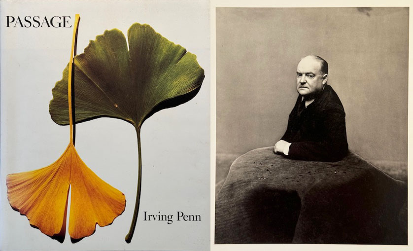 Is Irving Penn Someone To Inspire You?